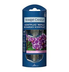 Yankee Candle - Wild Orchid 2-Pack Scentplug Refill