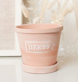 HERBS - TERRACOTTA PLANTER WITH SAUCER