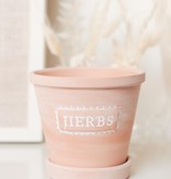 HERBS - TERRACOTTA PLANTER WITH SAUCER