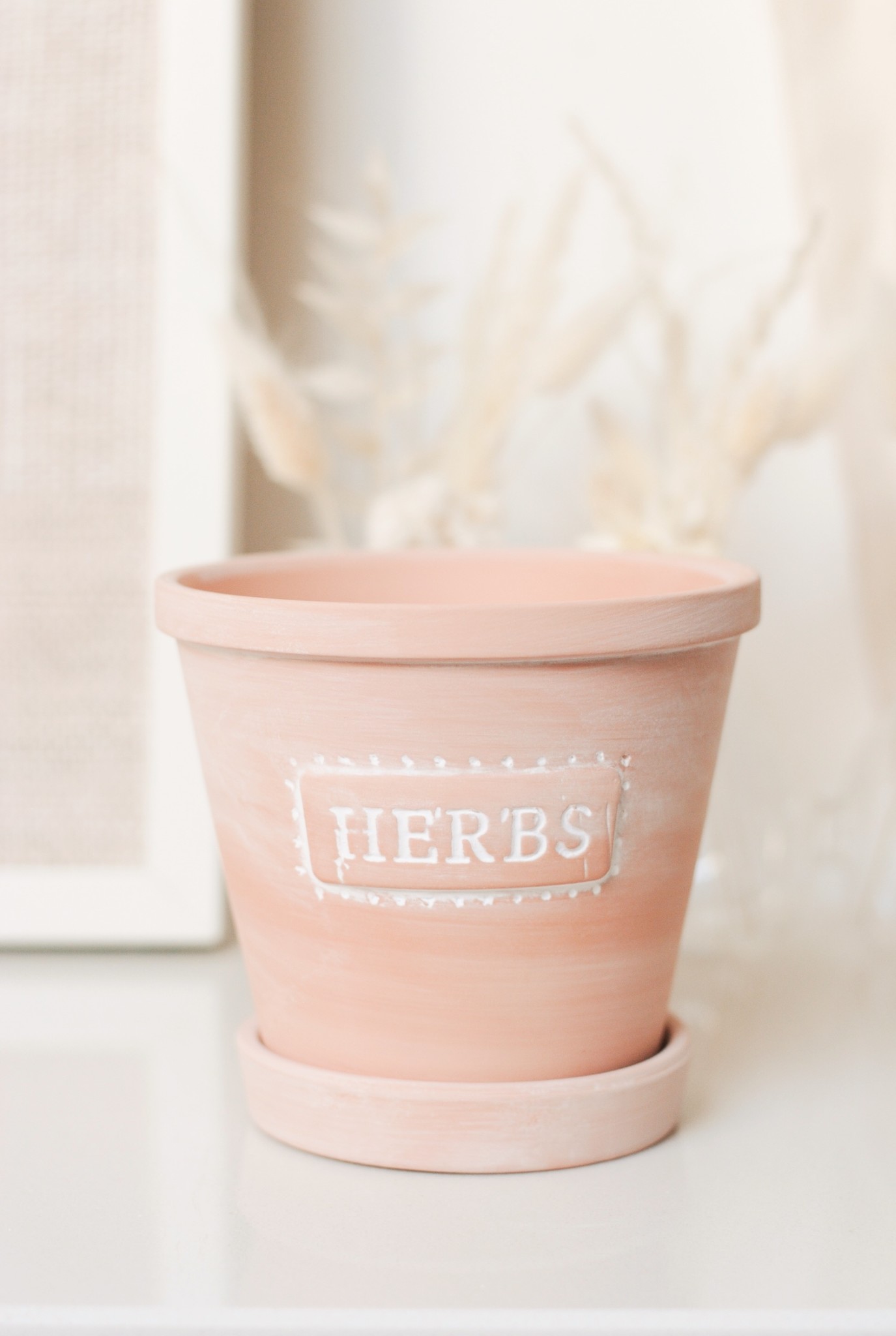 HERBS - TERRACOTTA PLANTER WITH SAUCER - Beauty & Bobs