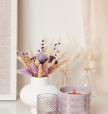 Paddywax - Lustre in Lavender & Fern