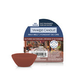 Yankee Candle - Autumn Daydream Wax Melt