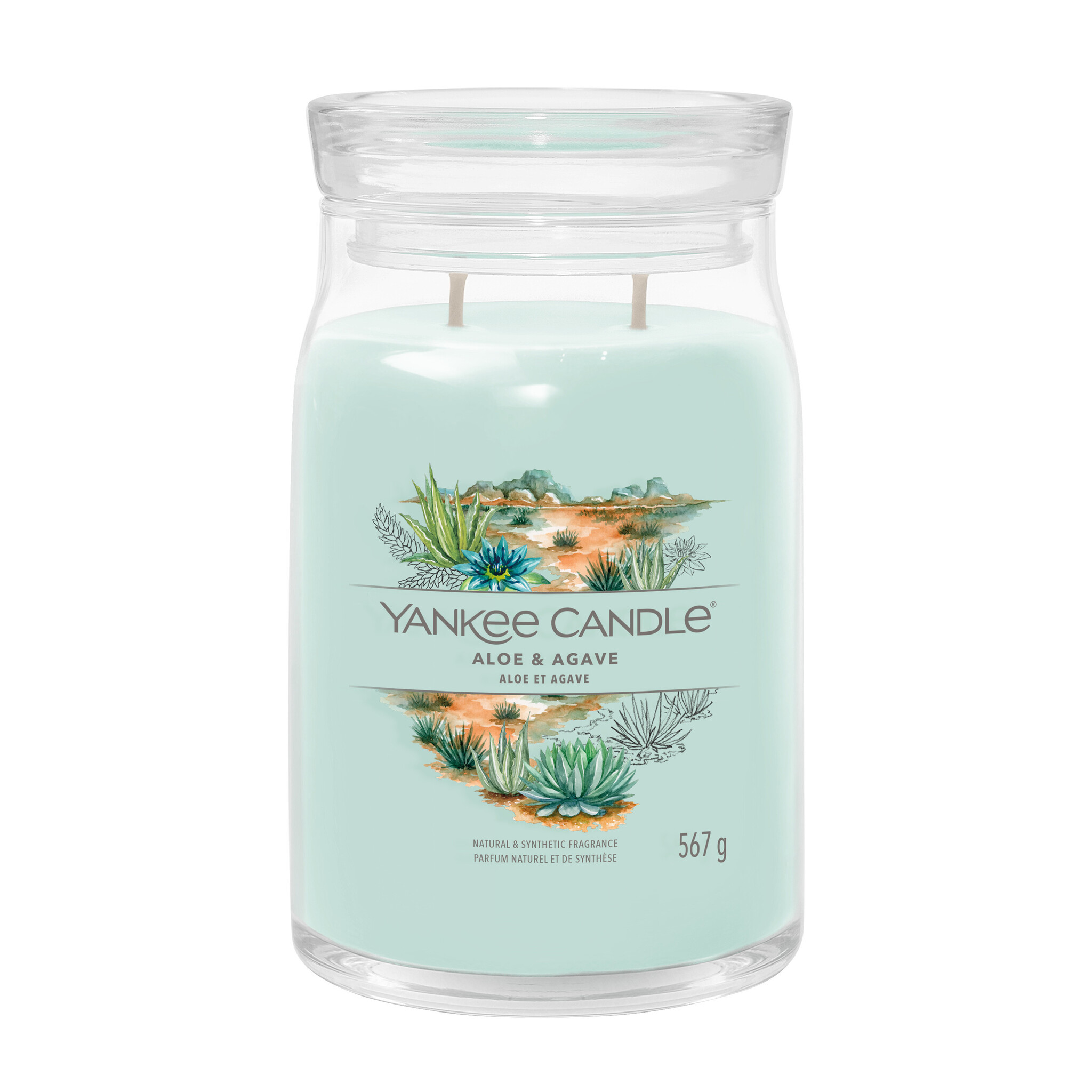 Yankee Candle - Aloe & Agave Large Jar