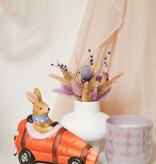 BUNNY IN WORTELAUTO - PURPLE