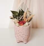 DAPHNE - SPECKLED PINK MINI PLANTER & DROOGBLOEMEN