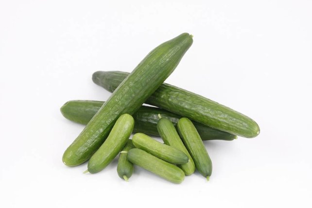 Mixpakket diverse geënte  komkommerplanten