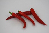 Spaanse peper planten Spaanse peper planten