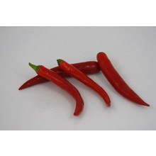 Spaanse peper ( 8 planten)