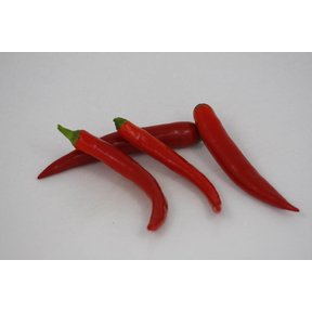 Spaanse peper ( 8 planten)