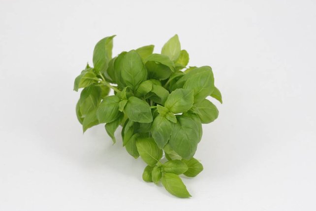 Basilicum planten