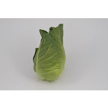 Spitskool (8 planten)