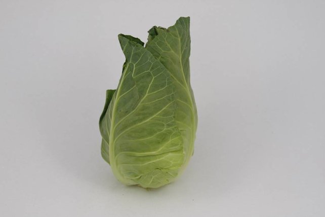 Spitskool planten (8 planten)