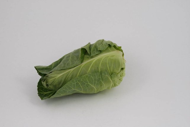 Spitskool planten (8 planten)