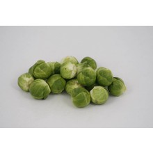 Spruitkool (8 planten)