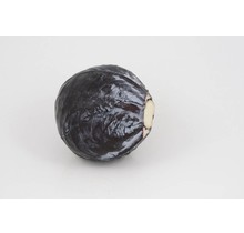 Rode kool (8 planten)