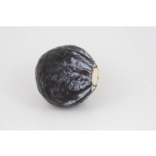 Rode kool (8 planten)