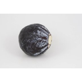 Rode kool (8 planten)