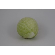 Witte kool (8 planten)