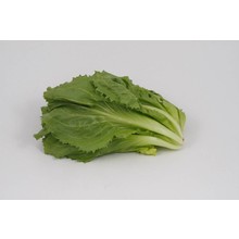 Andijvie (8 planten)