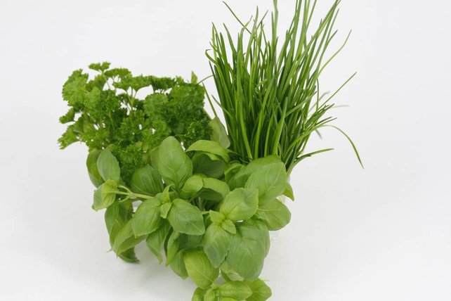 Mixpakket diverse kruidenplanten oregano, peterselie en basilicum
