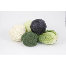 Mixpakket kool (8 planten)