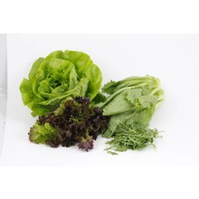 Mixpakket sla (8 planten)