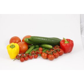 Geënte Tomaten, paprika en komkommer (16  planten)