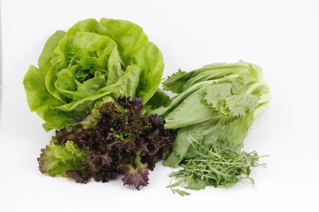 Combipakket sla & kool planten