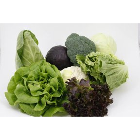 Sla en kool (16 planten)