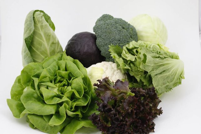 Combipakket sla & kool planten