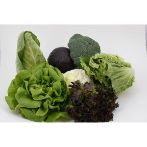Mixpakket sla en kool (8 planten)