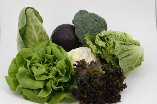 Combipakket sla & kool moestuin planten