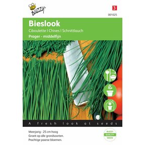 Bieslook