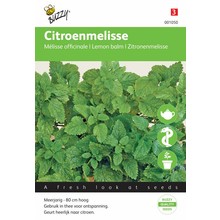 Citroenmelisse