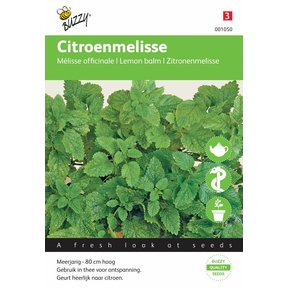 Citroenmelisse