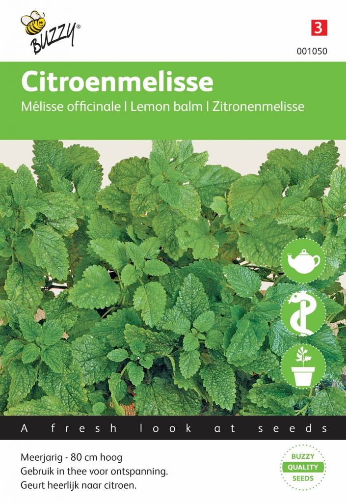 Moestuinplant.nl; Citroen melisse zaden online kopen, zaaien, kweken,  telen, incl verzending