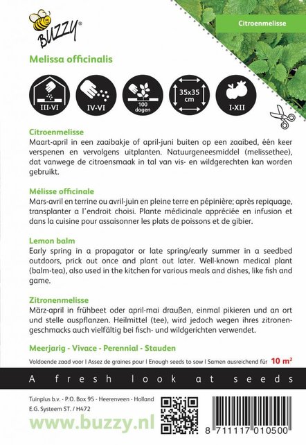 Citroenmelisse kruidenzaden