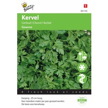 Kervel