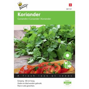 Koriander