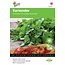 Moestuinplant grootzadige koriander kruidenzaden