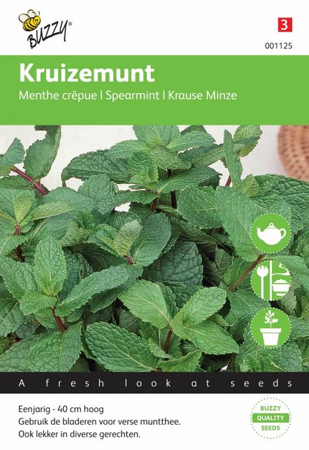 Munt kruidenzaden Munt kruidenzaden