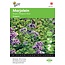 Moestuinplant Marjolein kruidenzaden