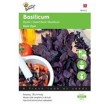 Rode basilicum kruidenzaden