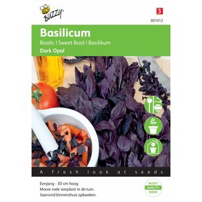 Rode basilicum