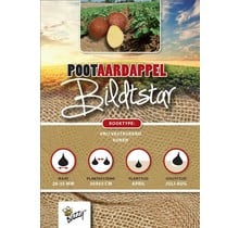 Pootaardappel Bildtstar kopen – 1 kg roodschillige bewaaraardappel
