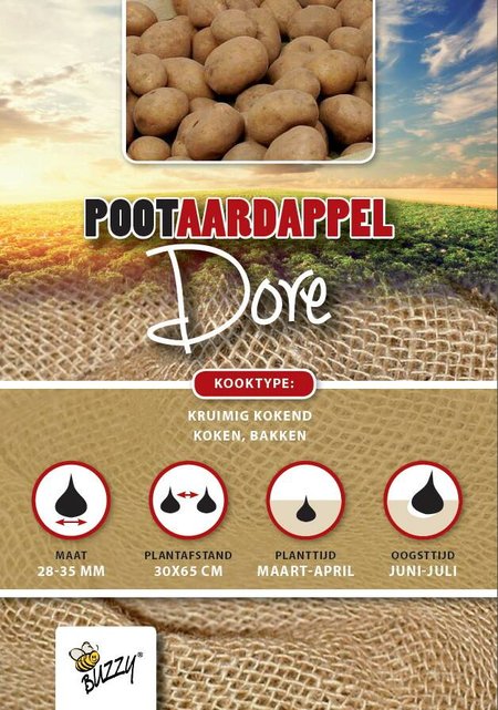 Pootaardappel Doré kopen – 1 kg zeer vroege aardappel