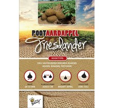 Pootaardappel Frieslander 1kg kopen – Vroegkokend & Geel | Buzzy Pootgoed