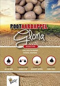 Pootaardappel Gloria 1kg kopen – Vroege Consumptieaardappel | Buzzy Pootgoed