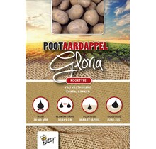 Pootaardappel Gloria 1kg kopen – Vroege Consumptieaardappel | Buzzy Pootgoed