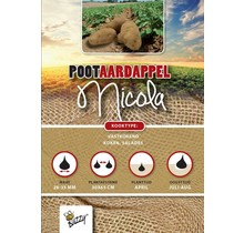 Pootaardappel Nicola kopen – 1 kg vastkokende aardappel hoge opbrengst